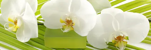 FLO-0432 PS40336