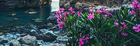 FLO-0454 PS40406
