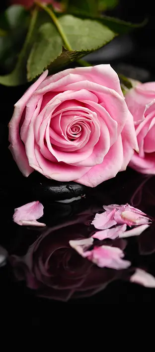 FLO-0488 PS5-1073