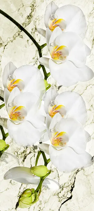 FLO-0505 PS5-1111