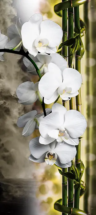 FLO-0507 PS5-1125