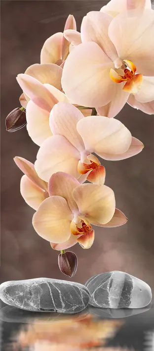 FLO-0559 PS5-557