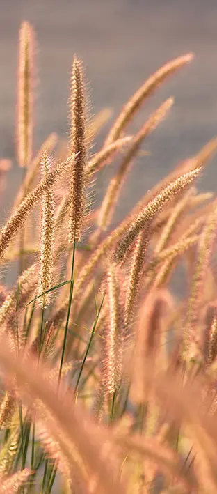 FLO-0617 PS5-741