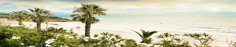SEA-0010 PK1626