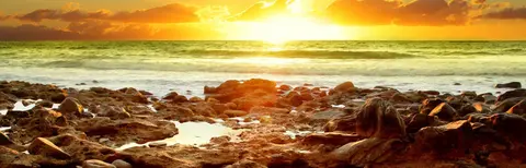 SEA-0046 PS40198