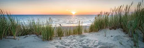 SEA-0085 PS40398