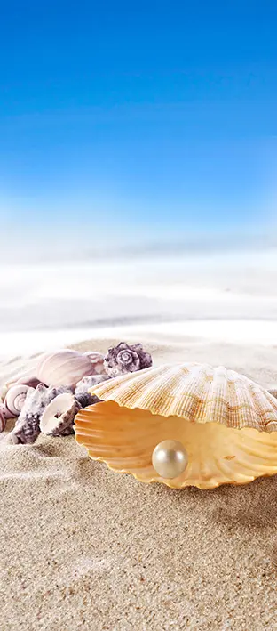 SEA-0091 PS5-1032