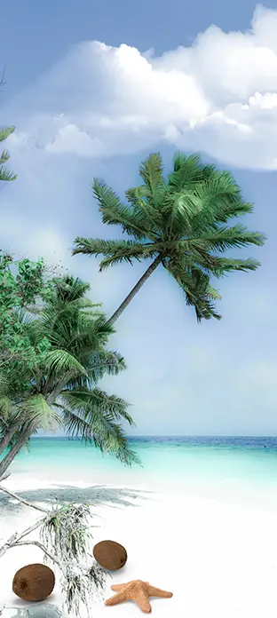 SEA-0096 PS5-1116