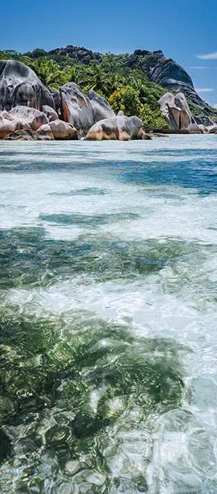SEA-0139 PS5-555
