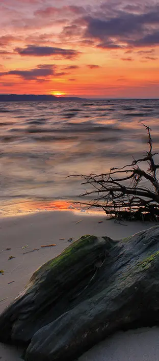 SEA-0150 PS5-685