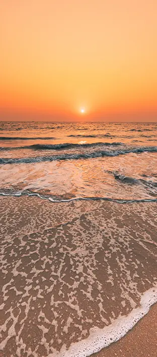 SEA-0176 PS5-886