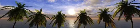 SEA-0007