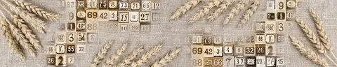 OLD-0004 pk616