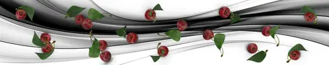 FVH-0135 PK1556
