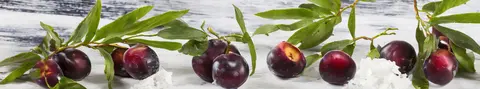 FVH-0198 PK2207