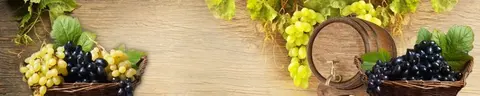 FVH-0249 PK484