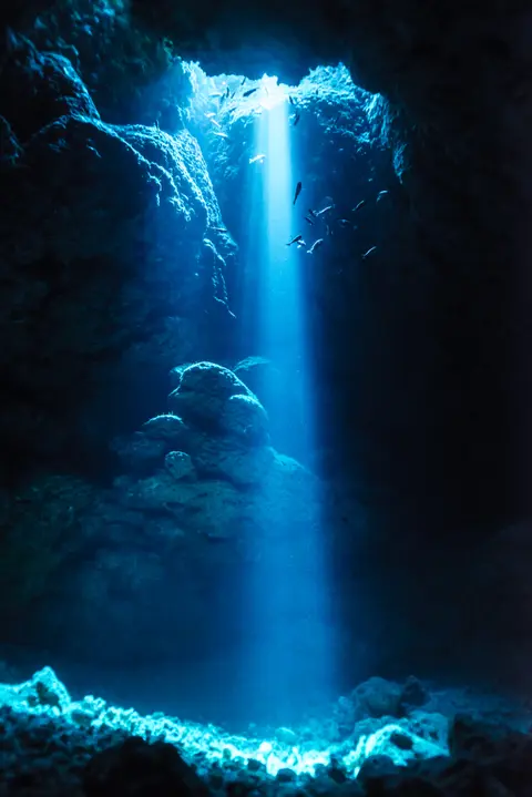 SUB-0005