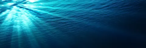 SUB-0010