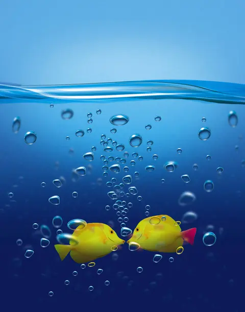 Istock 000000410138large