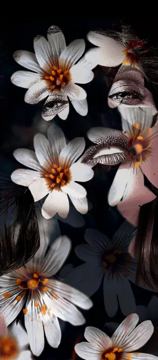 ART-0006 PS5-1157