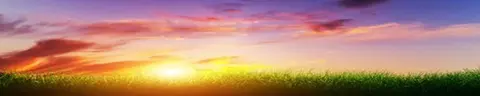 SUN-0013 PK683