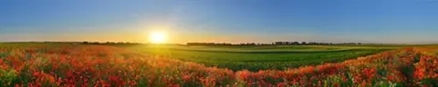 SUN-0015 PK696