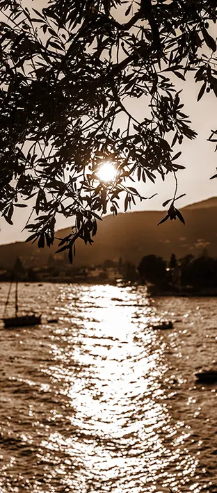SUN-0051 PS5-787